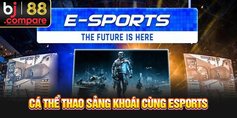 Cá thể thao sảng khoái cùng Esports