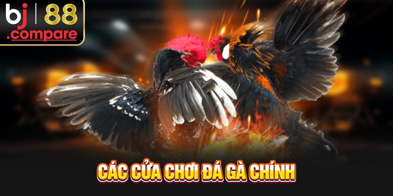 Các cửa chơi đá gà chính