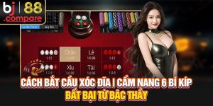 Cách Bắt Cầu Xóc Đĩa | Cẩm Nang 6 Bí Kíp Bất Bại Từ Bậc Thầy