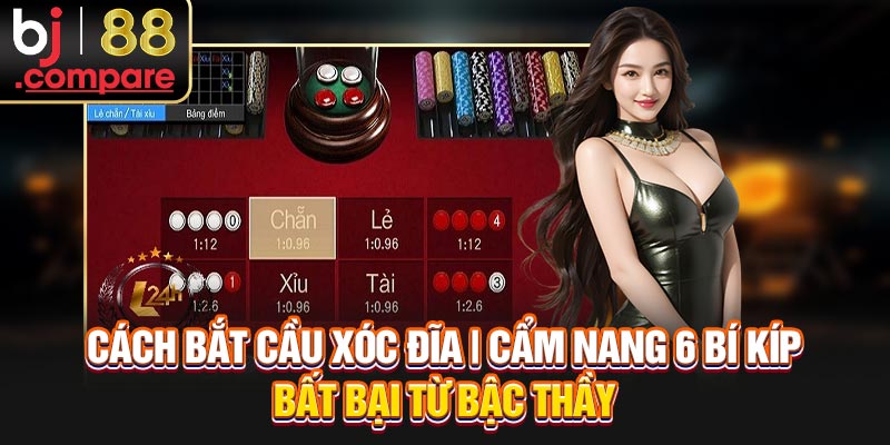 Cách Bắt Cầu Xóc Đĩa | Cẩm Nang 6 Bí Kíp Bất Bại Từ Bậc Thầy
