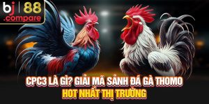 CPC3 Là Gì? Giải Mã Sảnh Đá Gà Thomo Hot Nhất Thị Trường