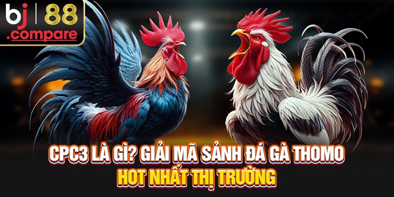 CPC3 Là Gì? Giải Mã Sảnh Đá Gà Thomo Hot Nhất Thị Trường