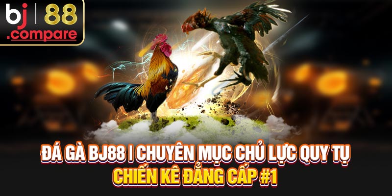 Đá Gà BJ88 | Chuyên Mục Chủ Lực Quy Tụ Chiến Kê Đẳng Cấp #1