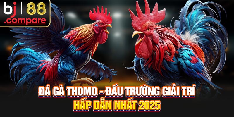 Đá Gà Thomo - Đấu Trường Giải Trí Hấp Dẫn Nhất 2025