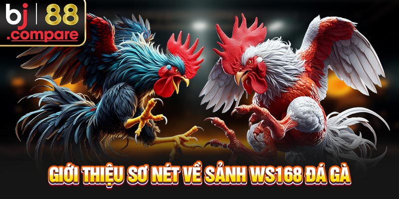 Giới thiệu sơ nét về sảnh WS168 đá gà