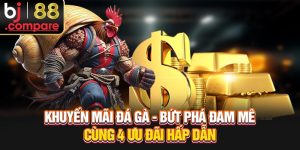 Khuyến Mãi Đá Gà - Bứt Phá Đam Mê Cùng 4 Ưu Đãi Hấp Dẫn