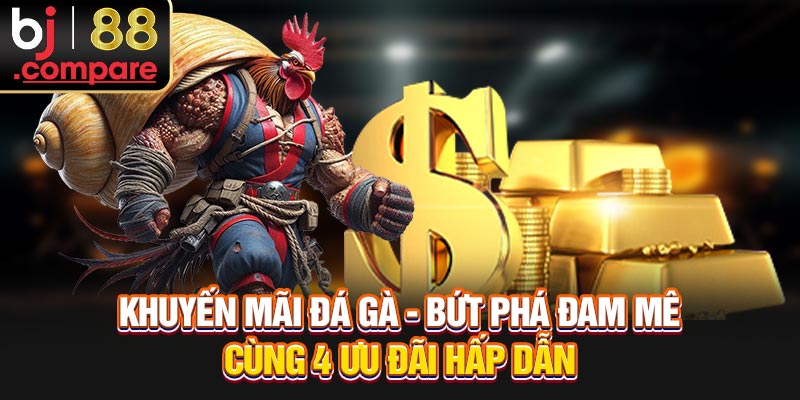 Khuyến Mãi Đá Gà - Bứt Phá Đam Mê Cùng 4 Ưu Đãi Hấp Dẫn