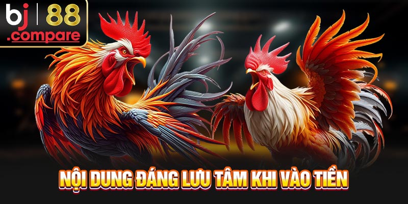 Nội dung đáng lưu tâm khi vào tiền