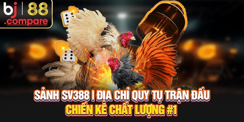 Sảnh SV388 | Địa Chỉ Quy Tụ Trận Đấu Chiến Kê Chất Lượng #1