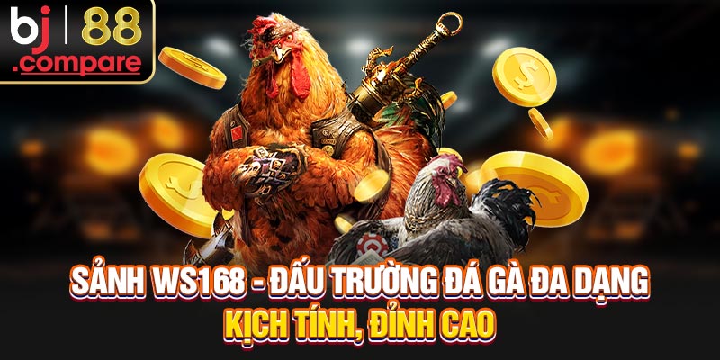 Update hình thức đá gà tại sảnh ngay hôm nay