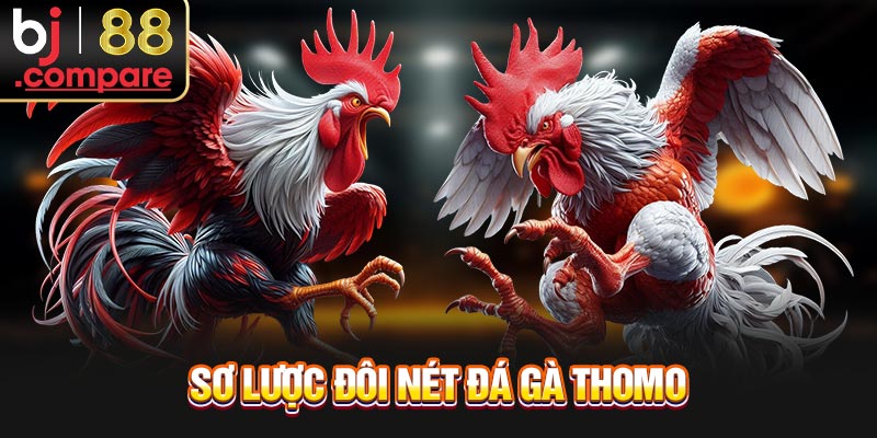 Sơ lược đôi nét đá gà Thomo