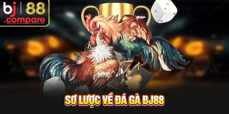 Sơ lược về đá gà BJ88