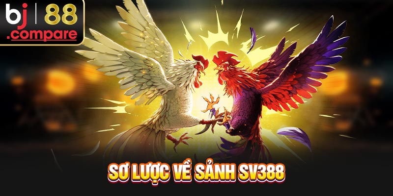 Sơ lược về sảnh SV388