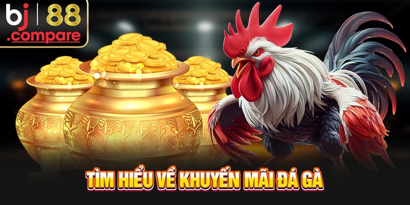 Tìm hiểu về khuyến mãi đá gà