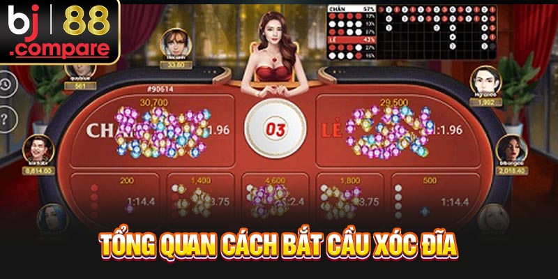 Tổng quan cách bắt cầu xóc đĩa
